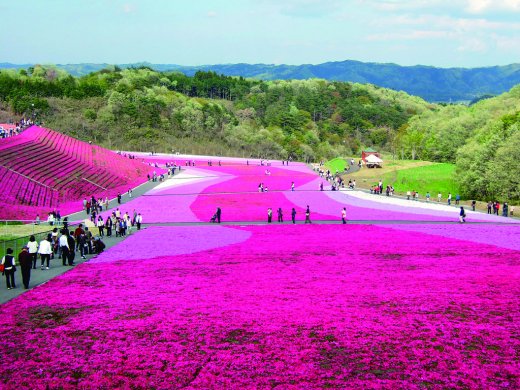 ツアー一覧 千葉県野田市 ハートバスツアー 北斗観光バス